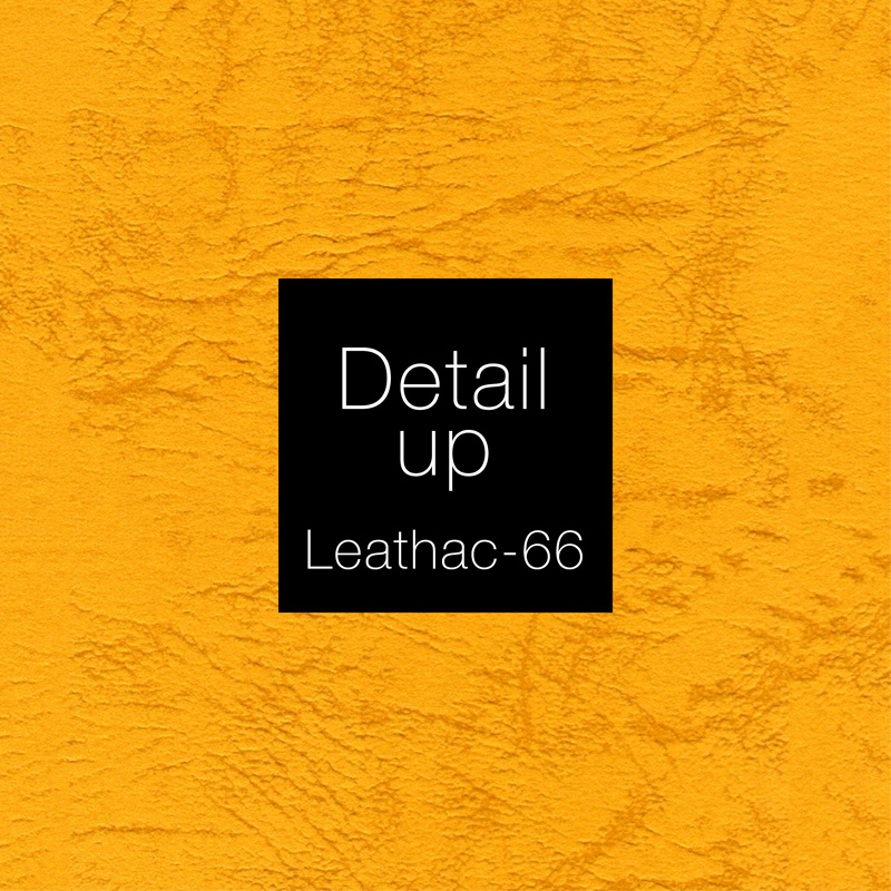 レザック66／金茶